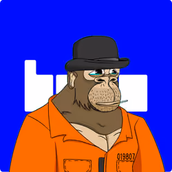 6338