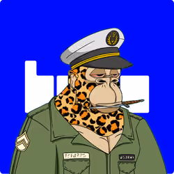 4911