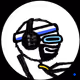 5293