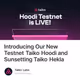 Introducing Our New Testnet Taiko Hoodi and Sunsetting Taiko Hekla
