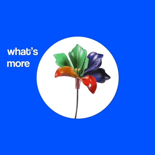 Item #2 Media