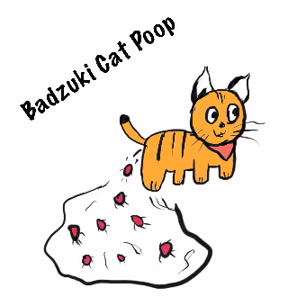 We Are Badzuki