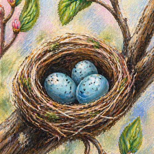 Nestled Beginnings (Pastel Crayon)