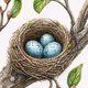 Nestled Beginnings (Pencil Crayon)