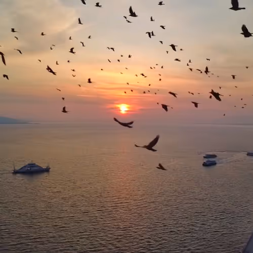 Flight Into The Horizon 1