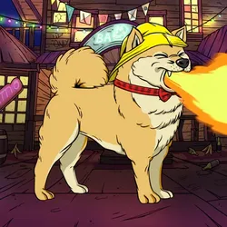 项目媒体占位符