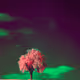 605