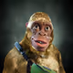 Alpha Kong #5557