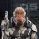16227