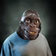 8567