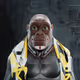 12741