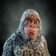 6027