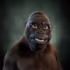 1790