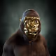 Alpha Kong #7980