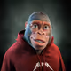 4228
