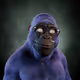Alpha Kong #7554