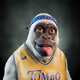 Alpha Kong #1450