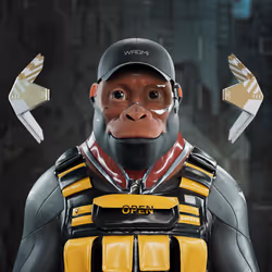 Omega Kong #6717