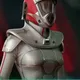 Crimson Aegis