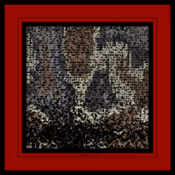 Glyphs #573