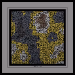 Glyphs #897