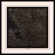593
