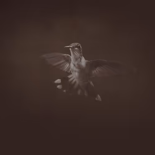 Rodeo Posts 1882