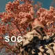 sociopath under the trees ;)