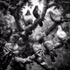 MONOCHROME ART