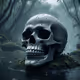 skull