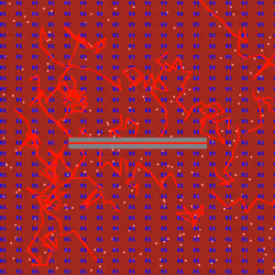 NeoGenesis #217