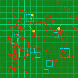 NeoGenesis #990