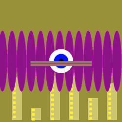 NeoGenesis #828