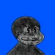 1098