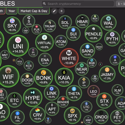 Based crypto bubble unique