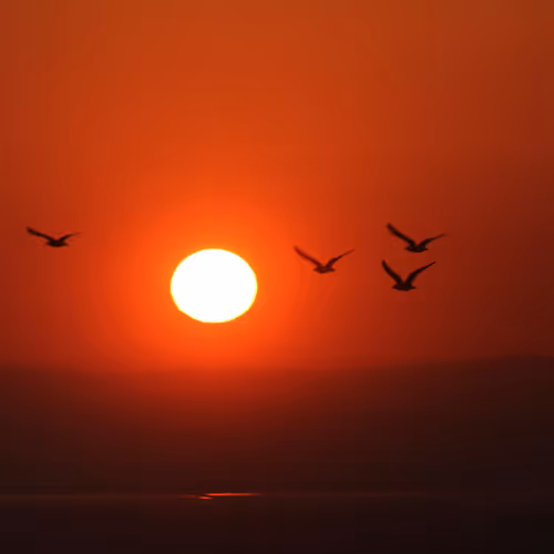 Flight Into The Fire