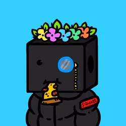 SQR Head #567