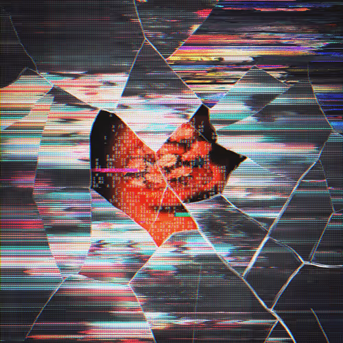 Item #41 Media