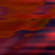 81