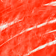 104