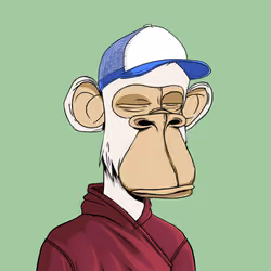Apes Bunitori Club #3915
