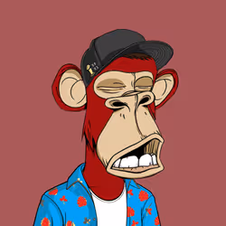 Apes Bunitori Club #4077