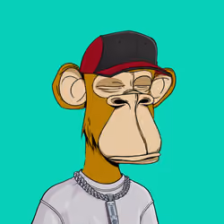 Apes Bunitori Club #3198