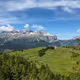 TRIPS18