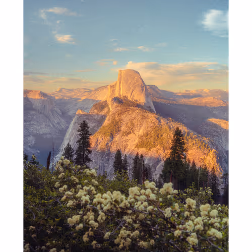 Rodeo Posts 1108