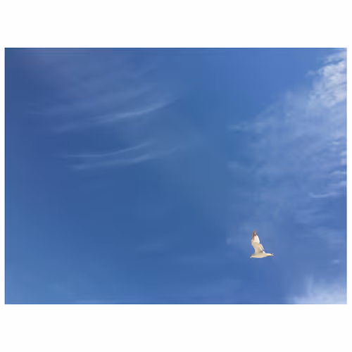 Airdrop of Can You Love Cover