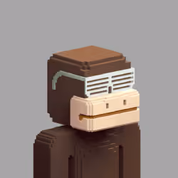 Voxel Degens