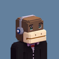 Voxel Degens
