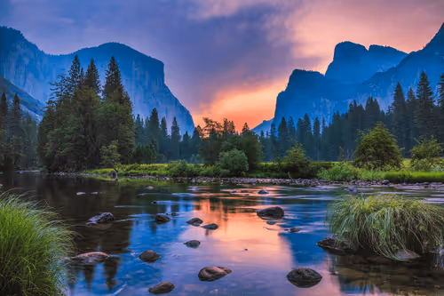 Nature 1170