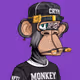 Monkey12